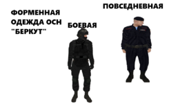 БЕРКУТ.png