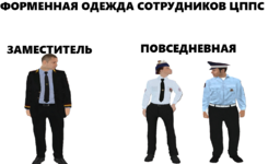 ЦППС.png