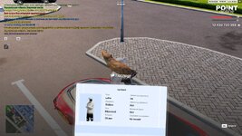 @point-2026-06-03-18_49-48.jpg