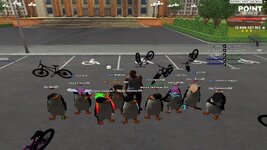 IMG_3345.jpeg