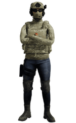 1786324827217.png