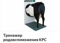 1786401267359.png
