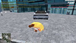 @point-2026-09-15-19_43-29.jpg