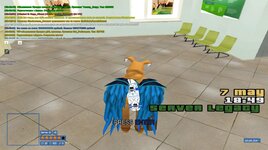 IMG_3939.jpeg