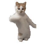 s.gif