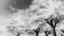 1000133775.gif 1000133775.gif