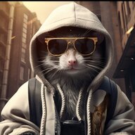 Кот шашлык