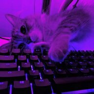 ᴀʟᴇᴋsᴀɴᴅʀ ᴀᴋʀɪᴇɴ ♡