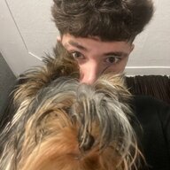 Winston