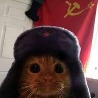 Vlad_Forbes