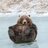 Nazar_Arxiless