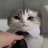 Leonid_Sergeev